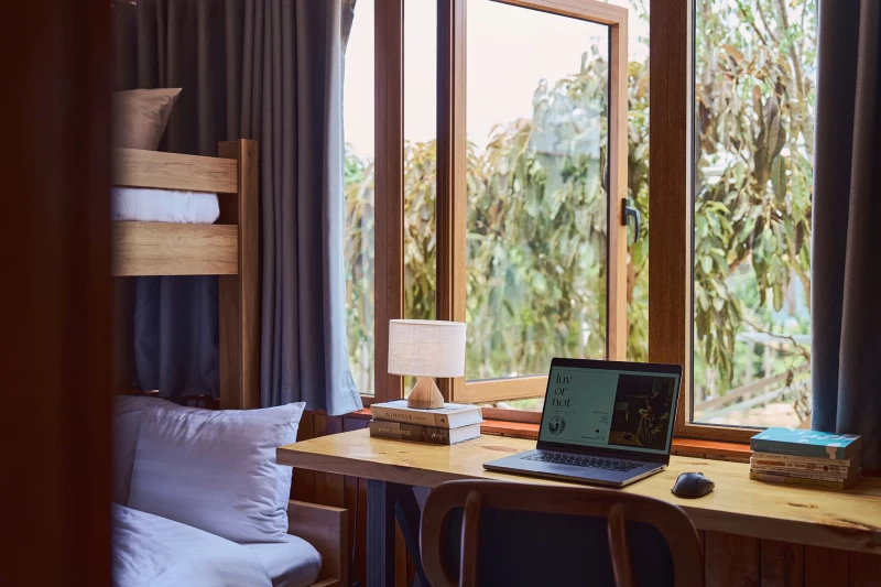 Nguyên căn Sếu - BTDL34 - Hình ảnh chi tiết 7